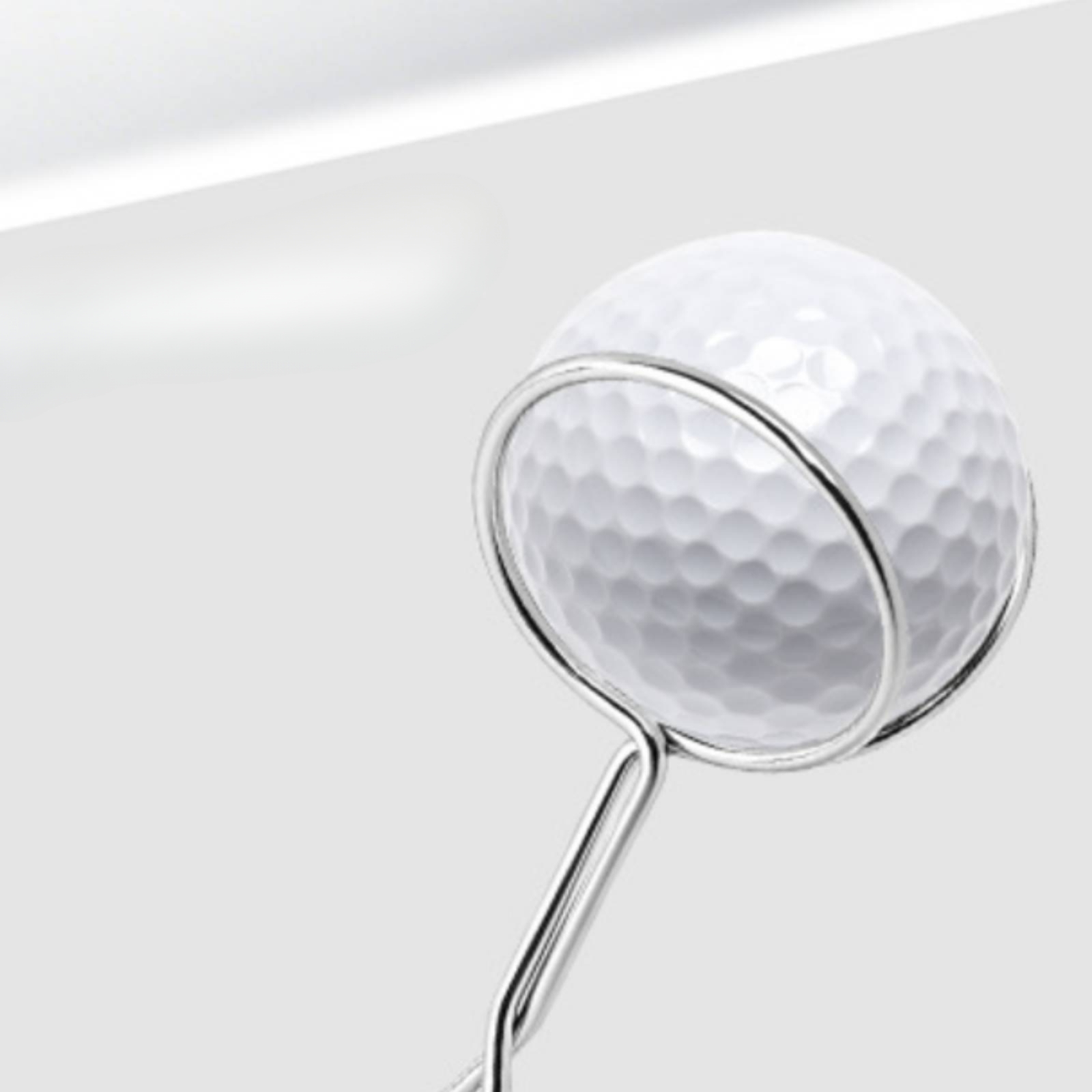 Golfbalverzamelaar van roestvr - Golf Clubs recensie en prijs
